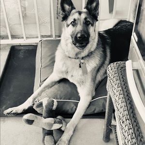 Meet your Posher, Delbert